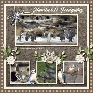 13-6-Humboldt Penguins small.jpg