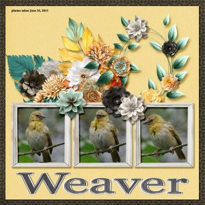 13-6-Weaver small.jpg