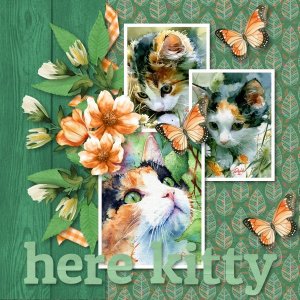 here kitty3.jpg