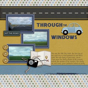 Through the Car Windows