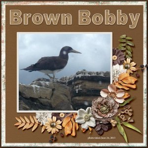 13-6-Brown Bobby small.jpg