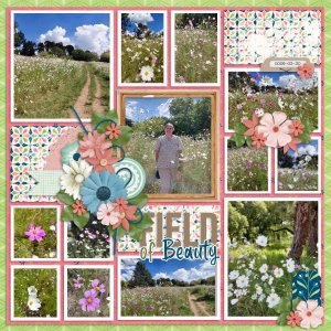 2026-03-30_FieldofBeauty