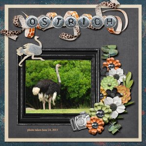 13-6-Ostrich small.jpg