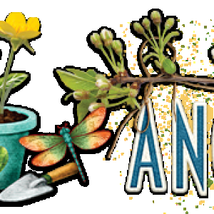 Angbrey Signature June 2026.png