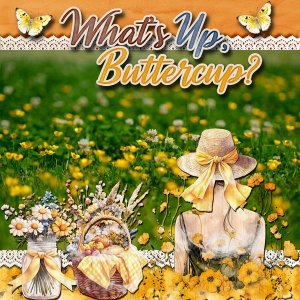 Whats Up Buttercup