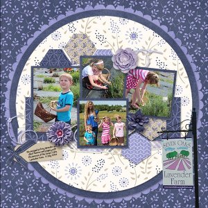 Lavender Farm
