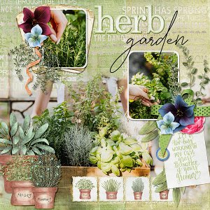 Herb Garden
