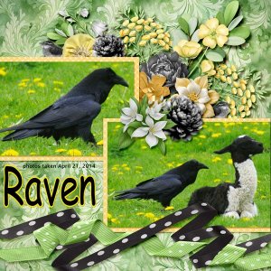 14-4-Raven small.jpg