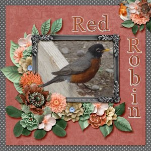 14-5-Red Robin small.jpg