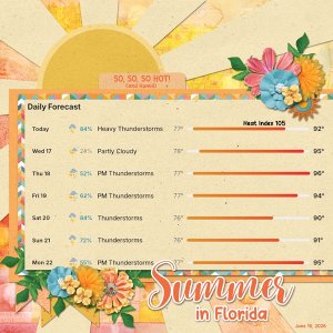 Florida Summer