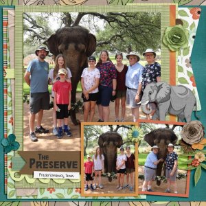 2023 - The Preserve 1