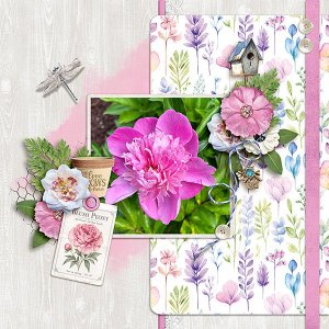Flowers.jpg