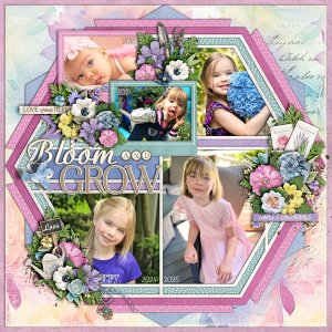Bloom And Grow