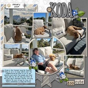 2026 June Color Challenge