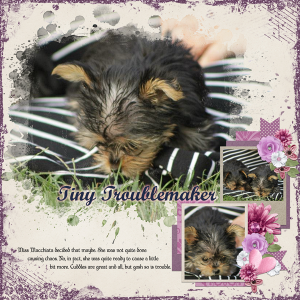 Tiny Troublemaker