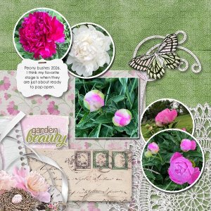 Peony