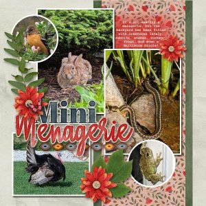 Mini Menagerie - June 2026.jpg