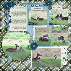BabyDeer! June5