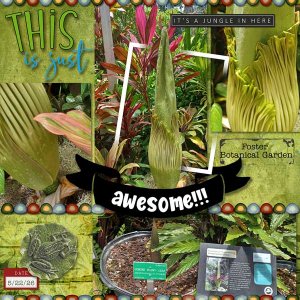 Corpse-plant.jpg