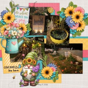 Gnomes Live Here