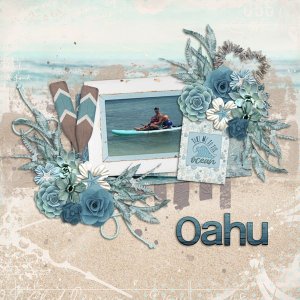 Ocean Summer Dreams-LDrag.jpg