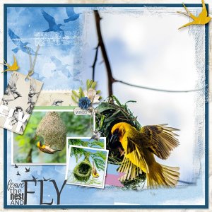 MFish_FreshAirDays_04.jpg