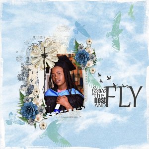 Fly.jpg