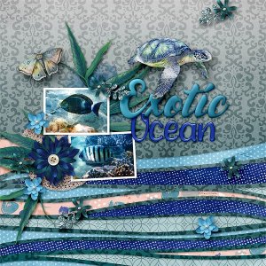 Exotic Ocean