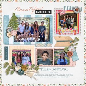 Tulip Festival 1