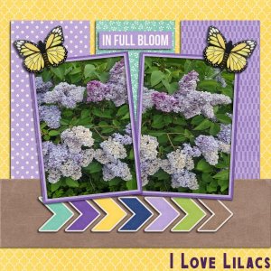 I Love Lilacs
