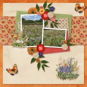 Wild Meadow