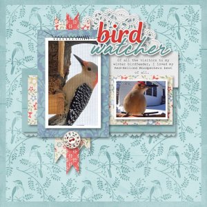 Bird Watcher - Winter 2026.jpg