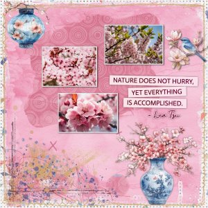 Cherry Blossom