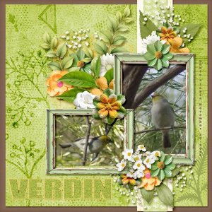 14-11-Verdin small.jpg