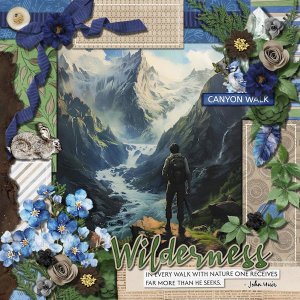 DLPatt_Wilderness_web.jpg
