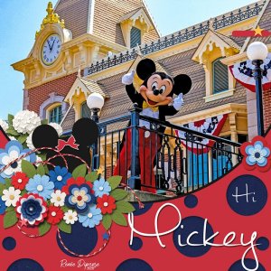 Hi Mickey!