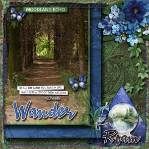 Wander