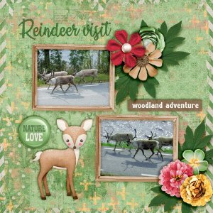 Reindeer-visit.jpg