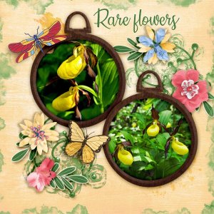 Rare-flowers.jpg