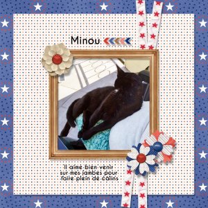 mini kit July 2026