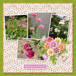 Spring Is In The Air
