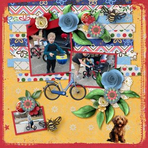 Maddux's-Bike-web.jpg