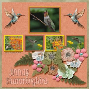 15-7-Annas Hummingbird small.jpg