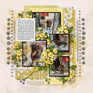 Doggie-in-the-Window-webcopy.jpg
