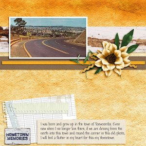 Home Town Memories