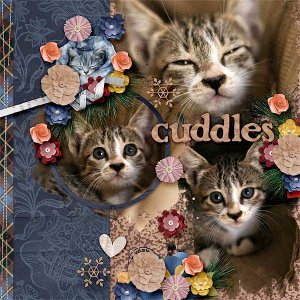 Cuddles
