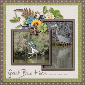 14-11-Great-Blue-Heron-small.jpg