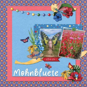 Mohnblüte