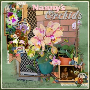 Nanny's Orchids