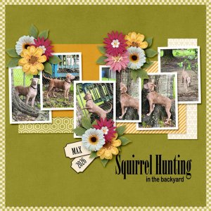 Squirrel Hunting